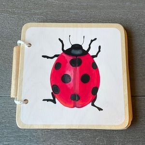 Lovevery infant picture book